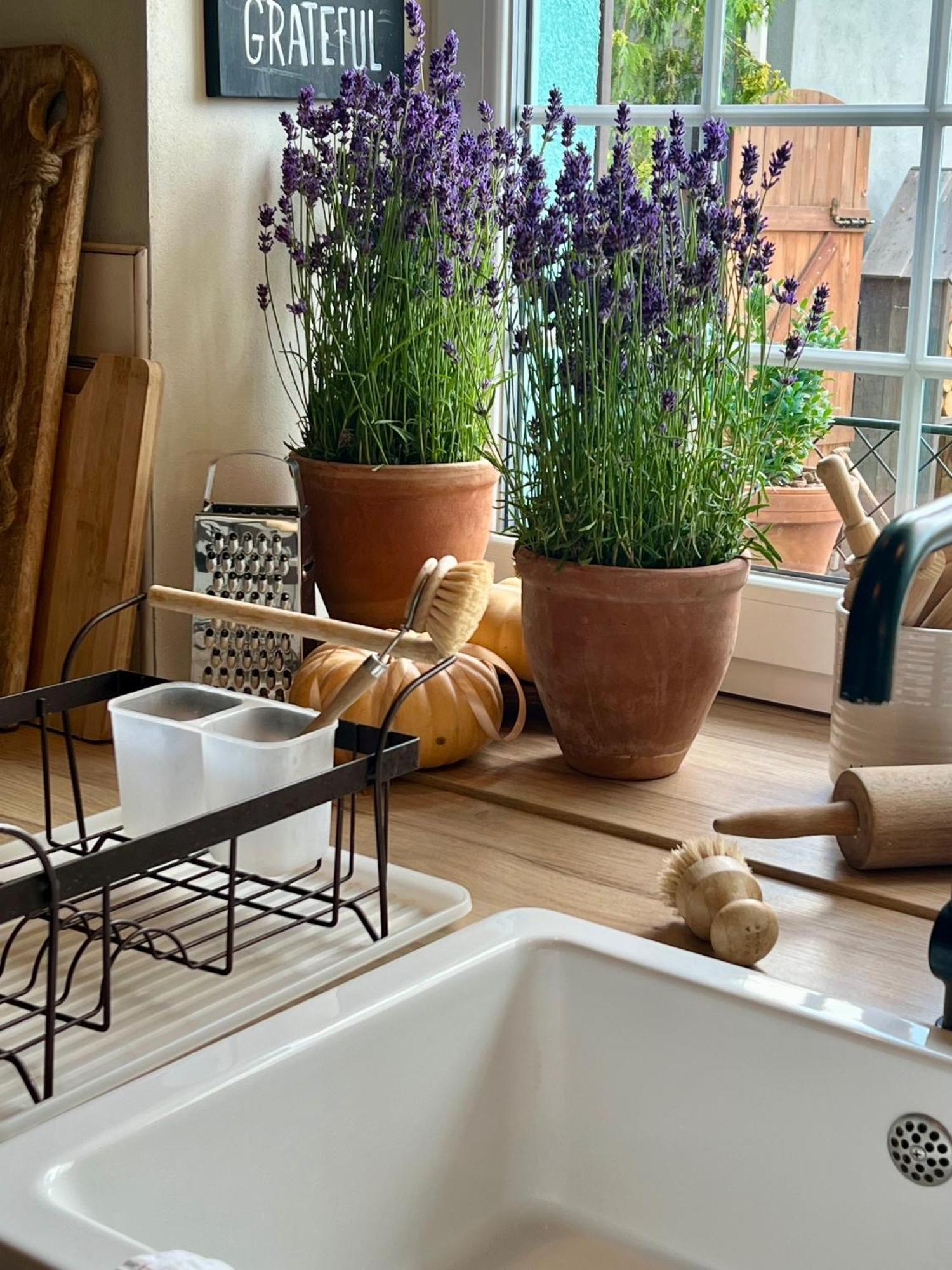 Orchardhouse Farmhouse, Wellness Chrast  Buitenkant foto